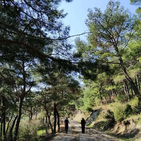 Teora Stone No 68 Hotel Ayvacik (Canakkale)