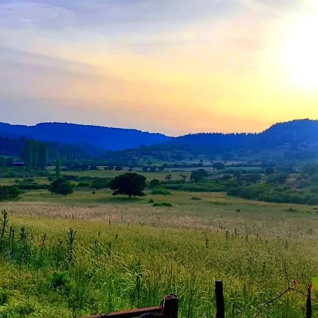 Teora Stone No 68 Hotel