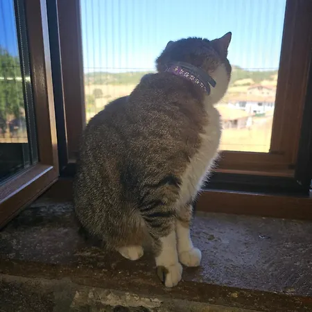 Hotel Teora Stone No 68